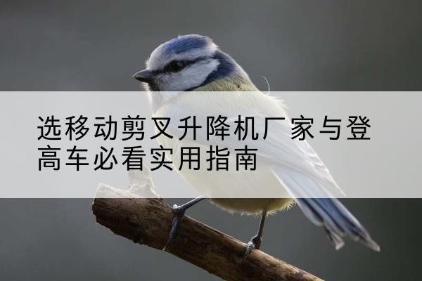 汝州电动升降机厂家-选移动剪叉升降机厂家与登高车必看实用指南