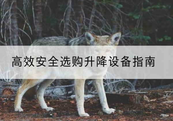 汝州升降货梯厂家推荐-*安全选购升降设备指南