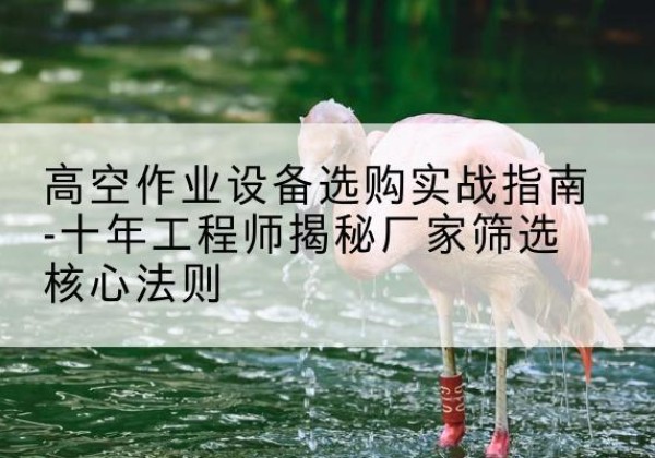 汝州剪叉式升降机厂家-高空作业设备选购实战指南-十年工程师揭秘厂家筛选核心法则